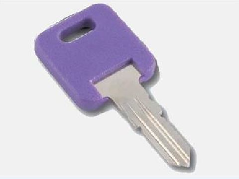 AP PRODUCTS - 013-690307: GLOBAL REPL KEY