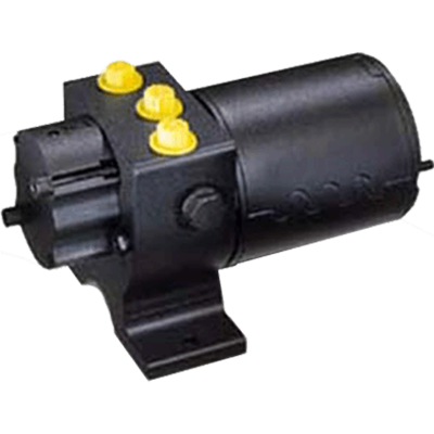 Raymarine Type 2 Pump 12V [M81121]