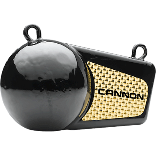 Cannon 12lb Flash Weight [2295190]